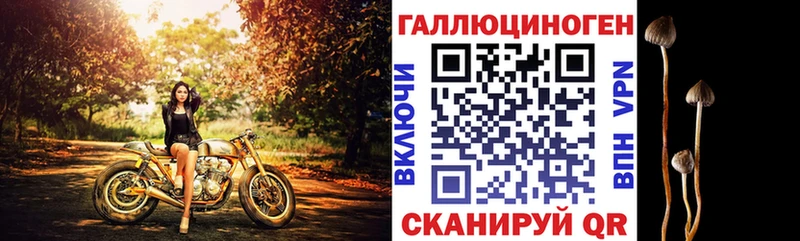 как найти наркотики  Северо-Курильск  Псилоцибиновые грибы прущие грибы 